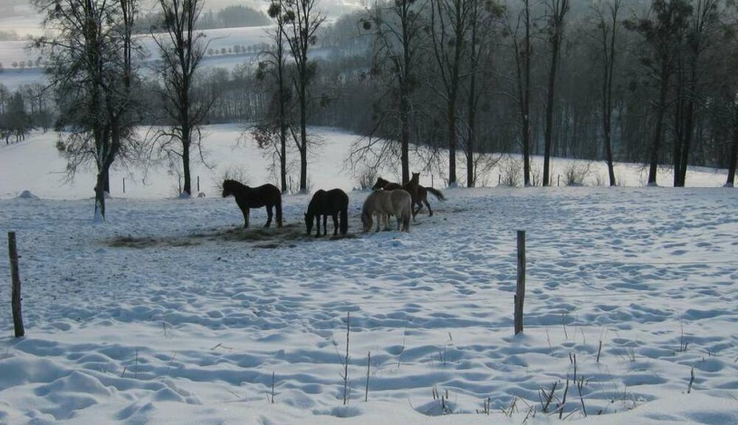 Penzion Hradisko Rožnov pod Radhoštěm